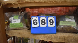 689